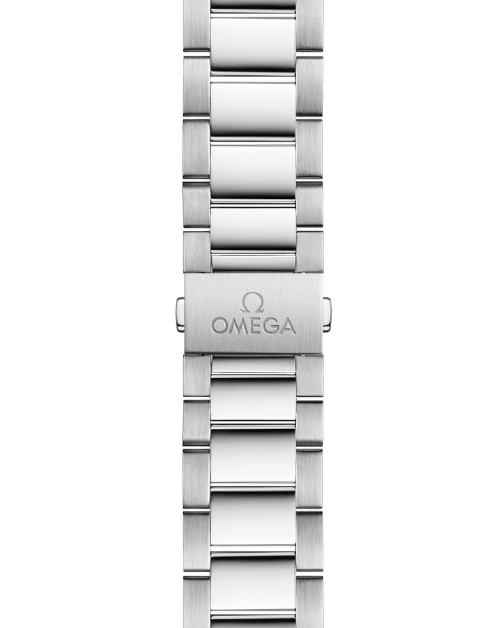 omega-seamaster-aqua-terra-150m-co-axial-master-chronometer-41-mm-22010412102001-portrait-1-a67a63