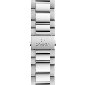 omega-seamaster-aqua-terra-150m-co-axial-master-chronometer-41-mm-22010412110001-portrait-2-f259c2