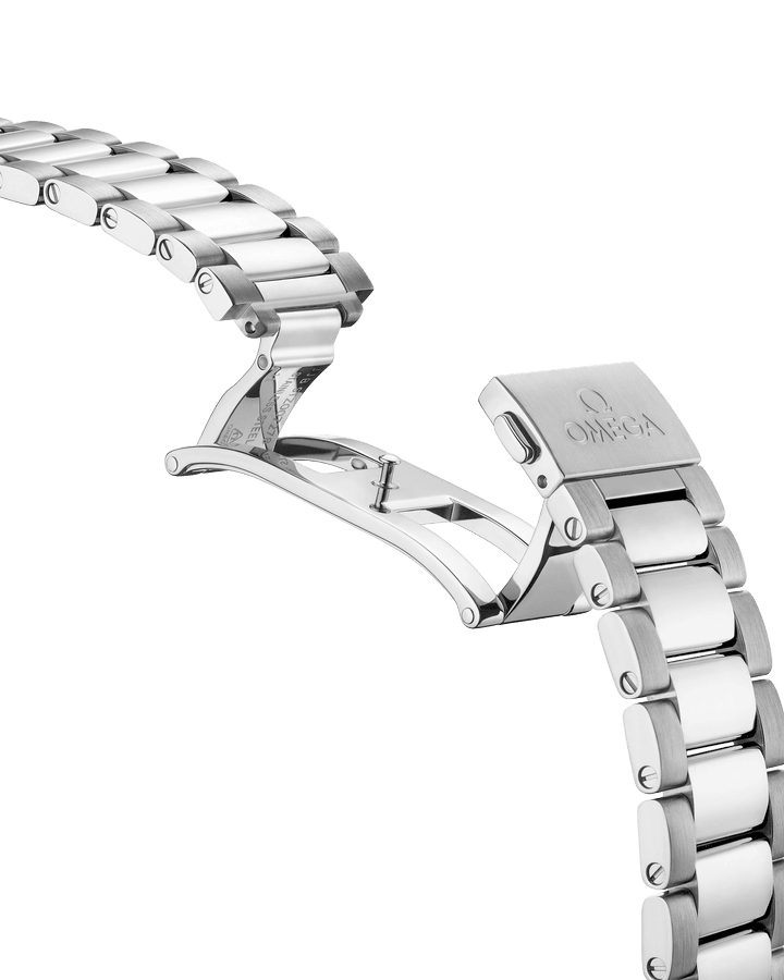 omega-seamaster-aqua-terra-150m-co-axial-master-chronometer-41-mm-22010412110001-portrait-3-e0ceb4